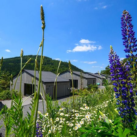 Sauerland Lodge - Haus Maxim Winterberg Buitenkant foto