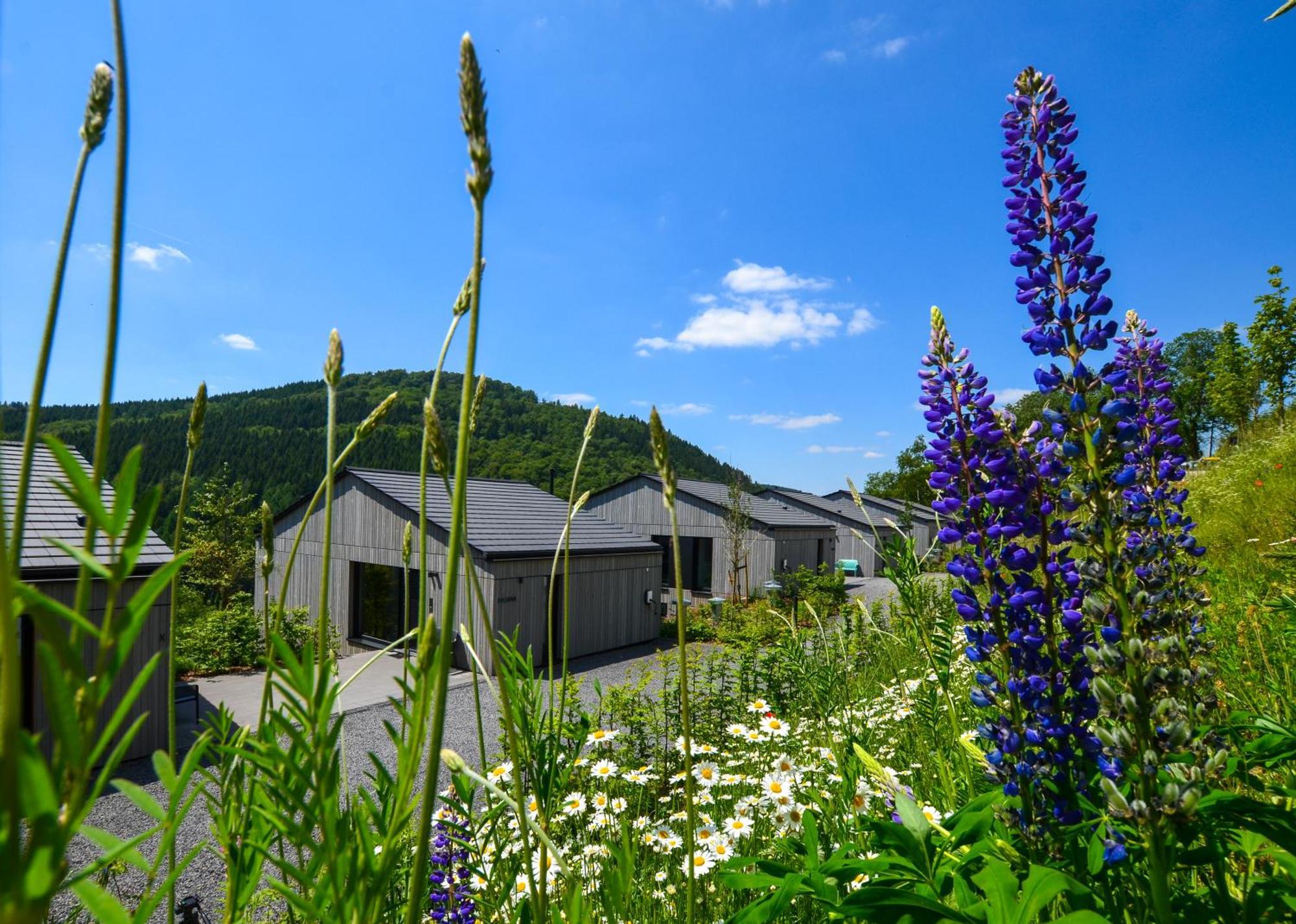 Sauerland Lodge - Haus Maxim Winterberg Buitenkant foto